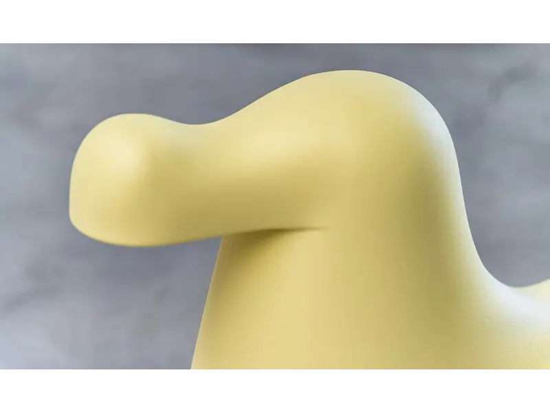 Dodo animal