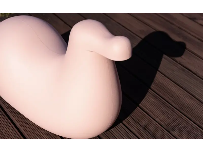 Dodo animal