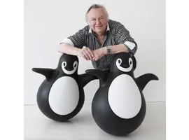 Pingy