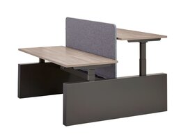 Flex bureau assis-debout électrique pour 2 personnes