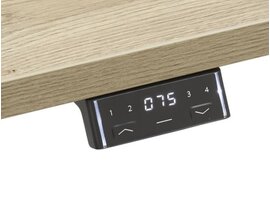Flex bureau assis-debout électrique pour 2 personnes