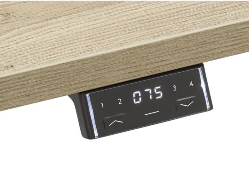 Flex bureau assis-debout électrique pour 2 personnes