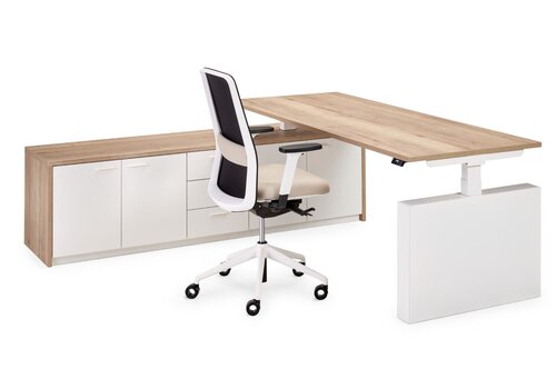 Flex elektrisch zit-sta directiebureau