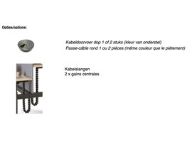 Flex bureau assis-debout électrique pour 2 personnes
