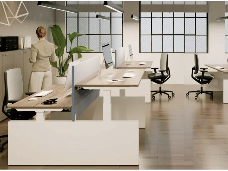 Flex bureau assis-debout électrique pour 2 personnes