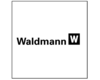 Waldmann