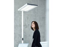 Waldmann LAVIGO lampadaire LED 102W 14050 lm – éclairage professionnel de bureau