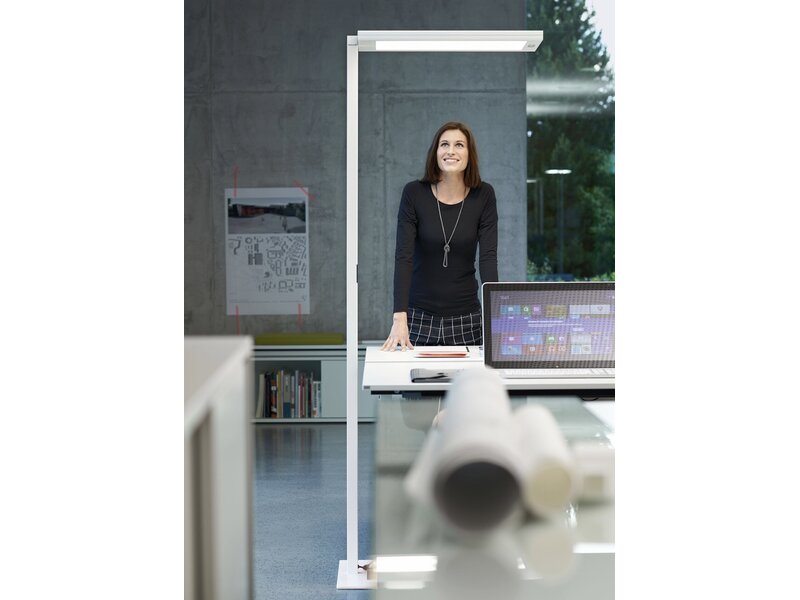 Waldmann LAVIGO lampadaire LED 102W 14050 lm – éclairage professionnel de bureau