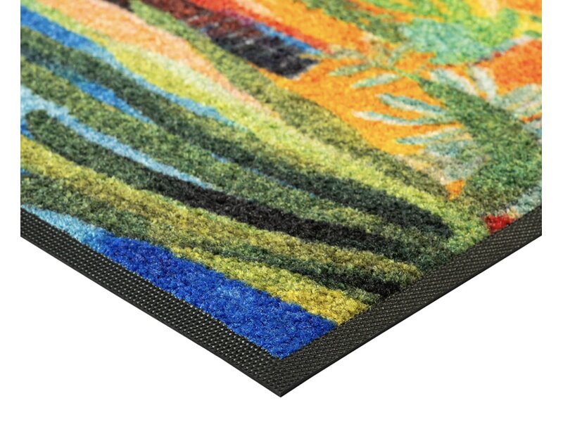 Kleentex Wash & Dry Casas de Colores deurmat – wasbare schoonloopmat kleurrijk design