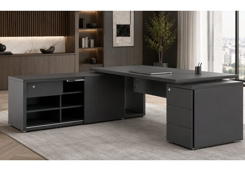 Mito fenix zwart directiebureau