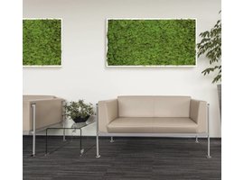 GreenOffice Khloé Mos-schilderijen akoestisch Khloé Mos-schilderijen akoestisch