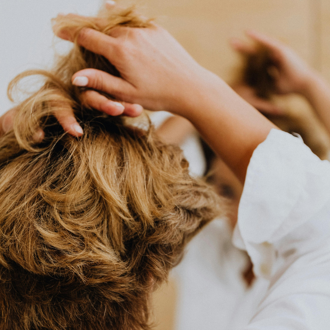 VERZORGING VOOR BESCHADIGD HAAR