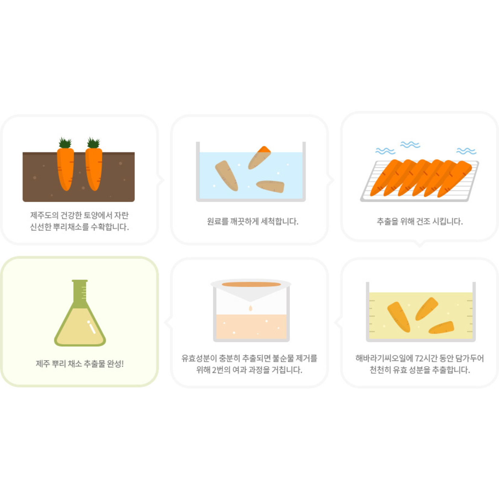 innisfree Jeju Root Energy Tuchmaske Set (8 Stk)