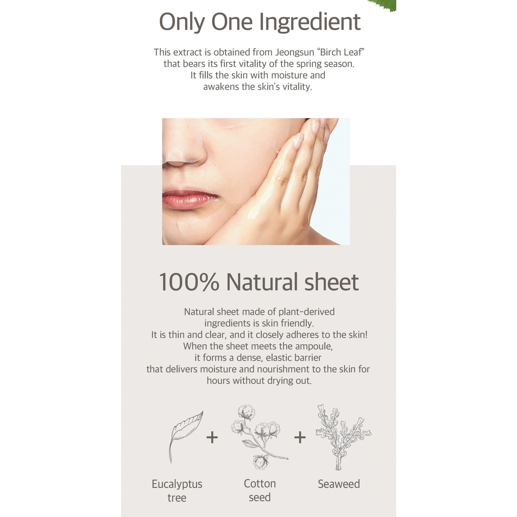 BIRCH 100 Sheet Mask