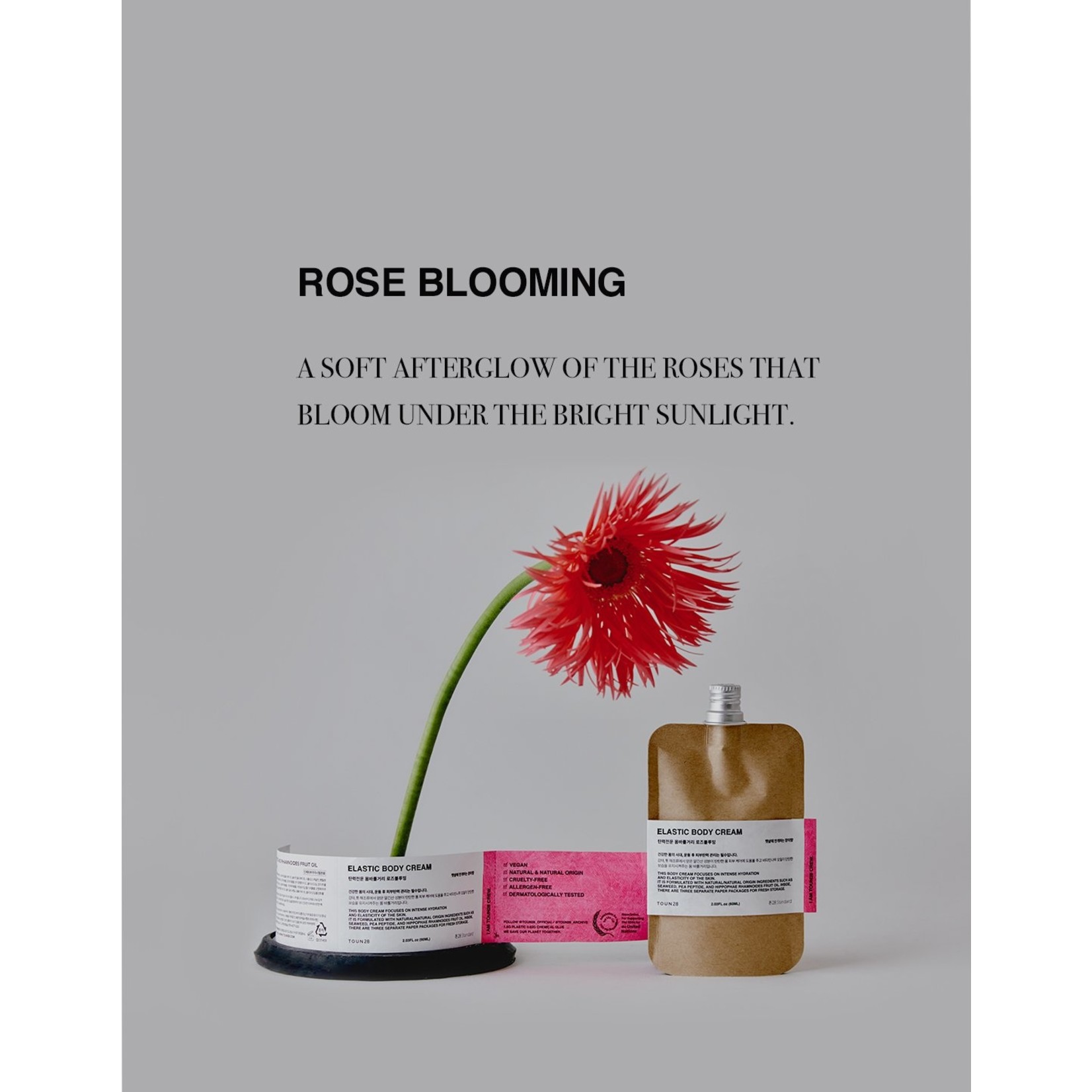 Body Cream-Lotion - Rose Blooming