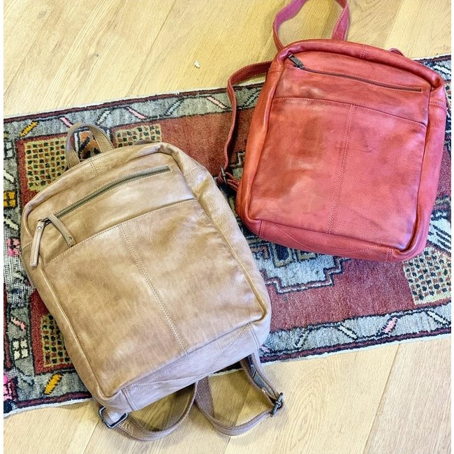 Bear Design  'Tiffany' Zwart - CP 1769, Callisto-Pelle Collectie