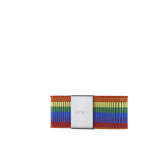 Secrid Moneyband Elastic  Rainbow