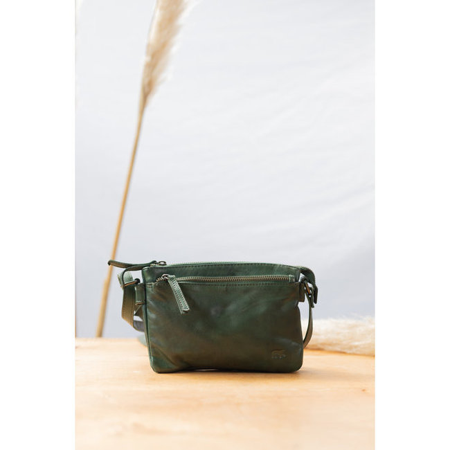 Bear Design  'Maithe'  Groen - CL41703, Cow Lavato Collectie