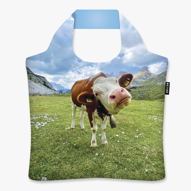 Ecozz "Moo"  - Lukas Hanes