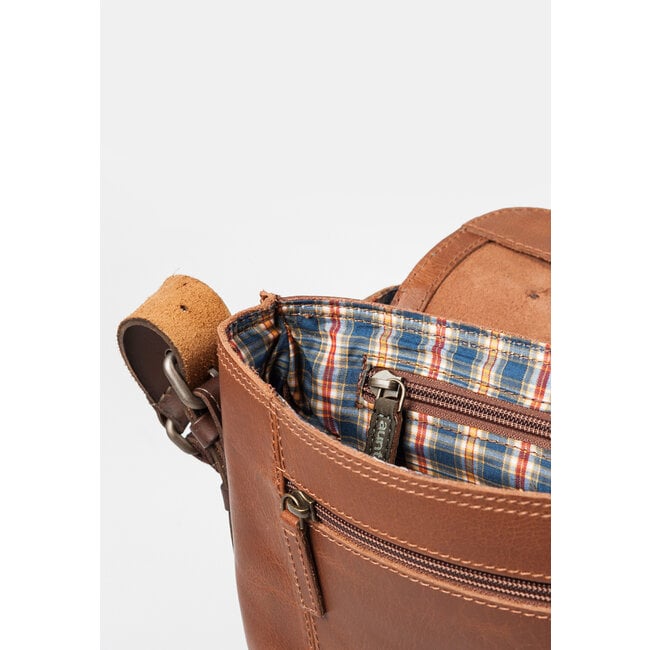 Aunts & Uncles 'Peacemaker' hazelnut - 50816-37