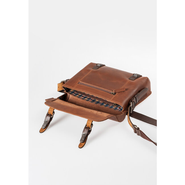 Aunts & Uncles 'Peacemaker' hazelnut - 50816-37