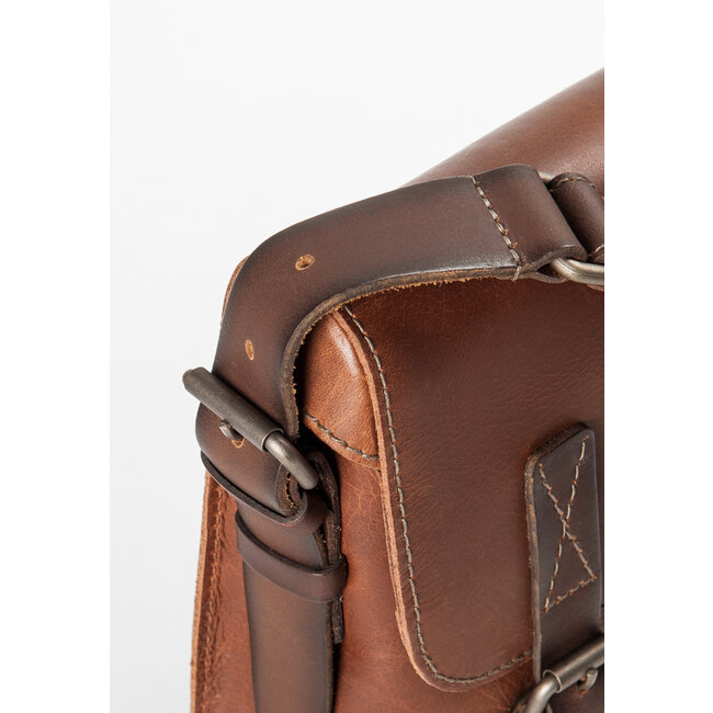 Aunts & Uncles 'Peacemaker' hazelnut - 50816-37