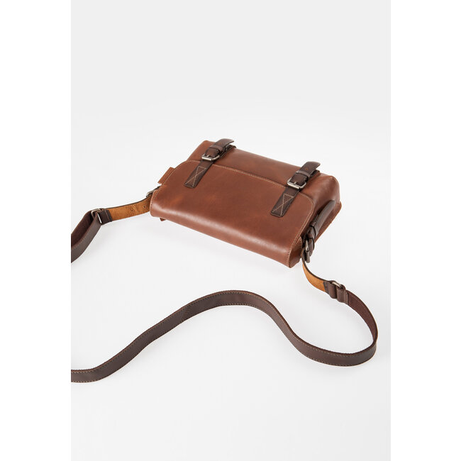 Aunts & Uncles 'Peacemaker' hazelnut - 50816-37