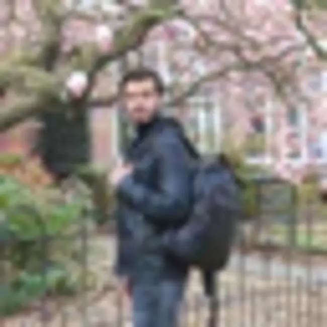 Bear Design 'Ties'  Zwart - CL 40848, Cow Lavato Collectie