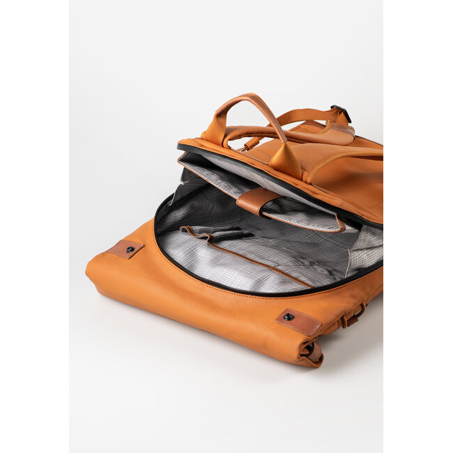 Aunts & Uncles 'Osaka' Honey Ginger - 10203-21