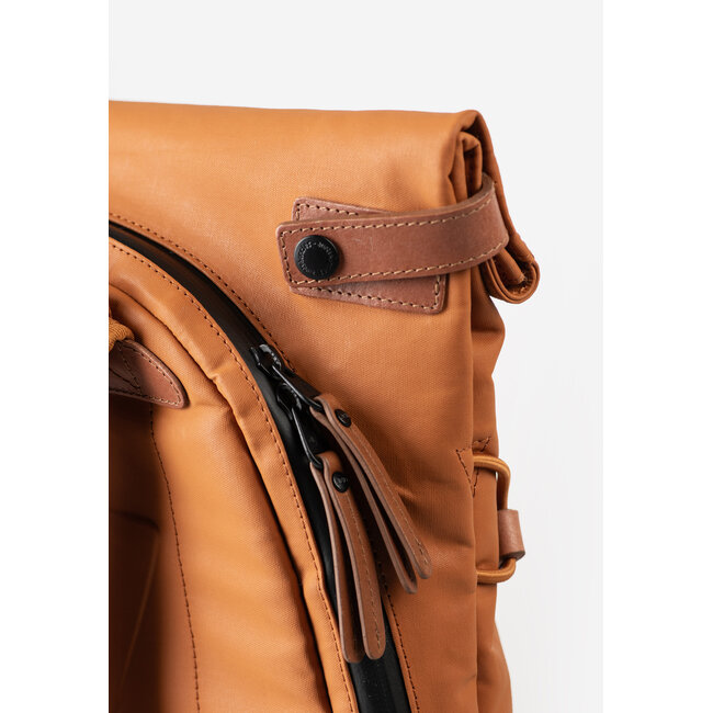 Aunts & Uncles 'Osaka' Honey Ginger - 10203-21