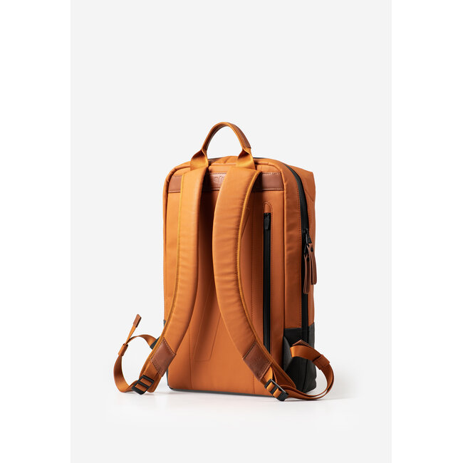 Aunts & Uncles 'Hamamatsu' Honey Ginger  - 10201-12