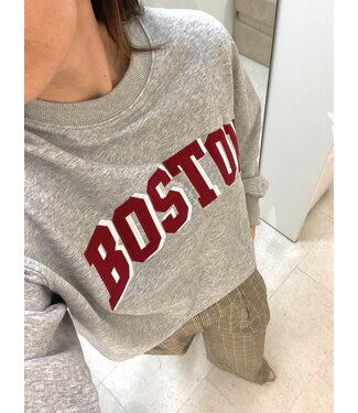 FEELKOO BOSTON SWEAT GREY