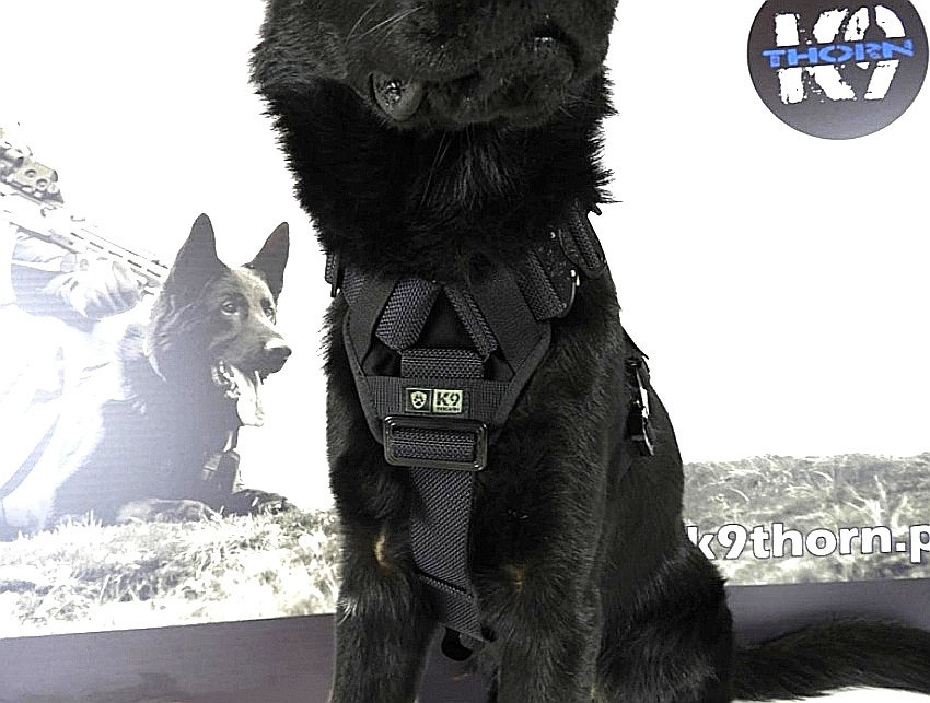 K9THORN DELTA  HARNESS