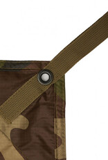 bache  /  Tarp