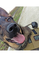 K9THORN ALPHA HARNAS  COYOTE