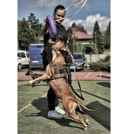 K9THORN ALPHA  HARNAS  COYOTE