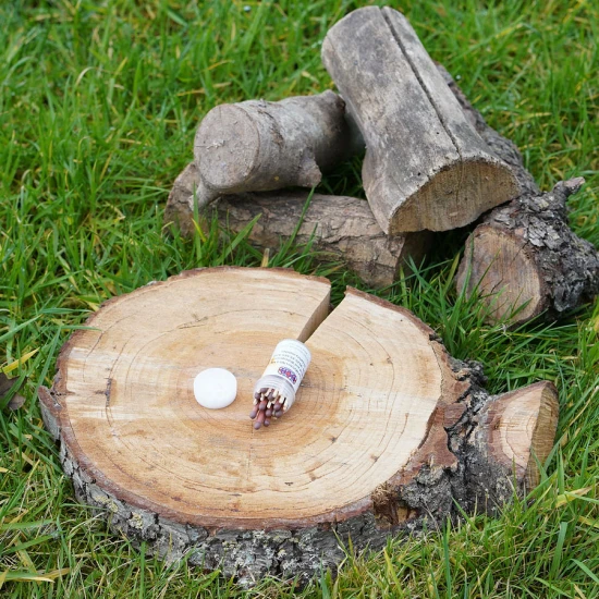 BCB  waterproof matches 1 x 25 st.