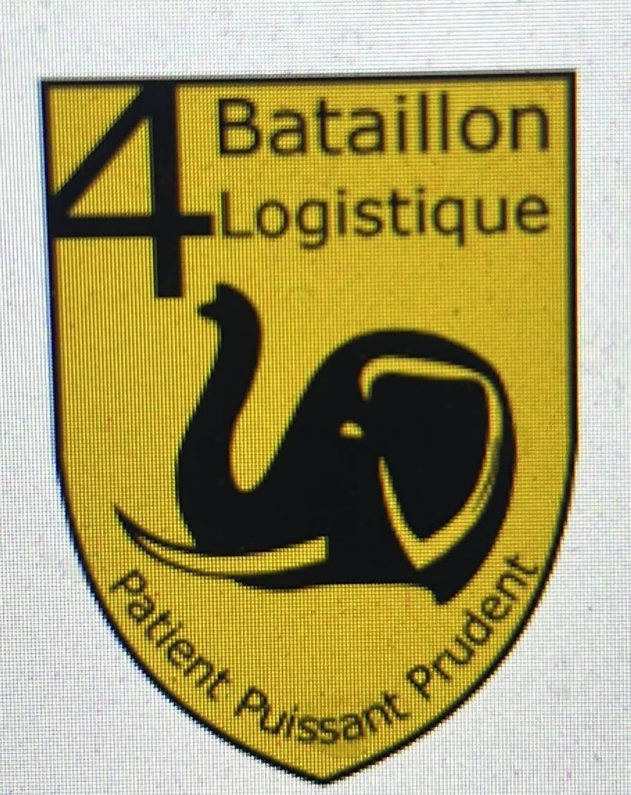 4 BN LOG PATCH
