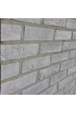 Linea Uno Baksteenstrip Holten