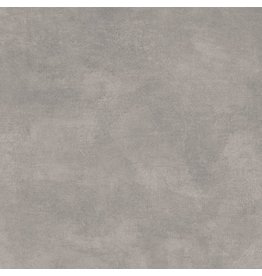 Linea Uno Volcano Grey 60 x 60 cm