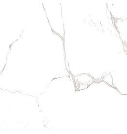 Linea Uno Carrara Glossy 60 x 60 cm