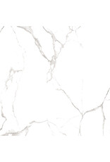 Linea Uno Carrara Glossy 60 x 60 cm