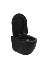 Linea Uno Ravius 48 - Mat zwart - Toiletpot met zitting