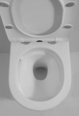 Linea Uno Ravius 48 - Mat wit - Toiletpot met zitting