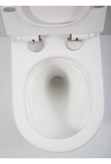 Linea Uno Ravius 53 - Glans wit - Toiletpot met zitting