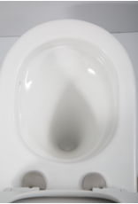 Linea Uno Ravius 53 - Glans wit - Toiletpot met zitting