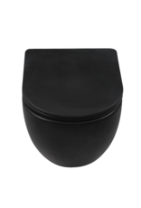Linea Uno Ravius 53 - Mat zwart - Toiletpot met zitting