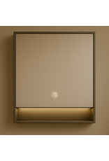 Linea Uno Eira 60 x 80 - Grijs - Spiegelkast