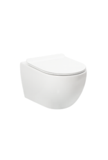 Linea Uno Ravius 48 - Mat wit - Toiletpot met zitting