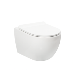 Linea Uno Ravius 48 - Mat wit - Toiletpot met zitting